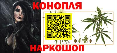 стаф Тула