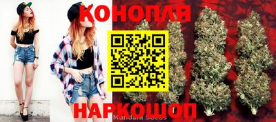 хмурый Тара