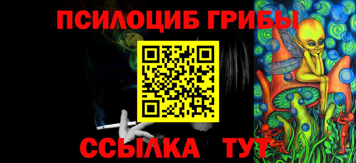 Псилоцибиновые грибы Cubensis  Вход с VPN  Нижний Тагил 